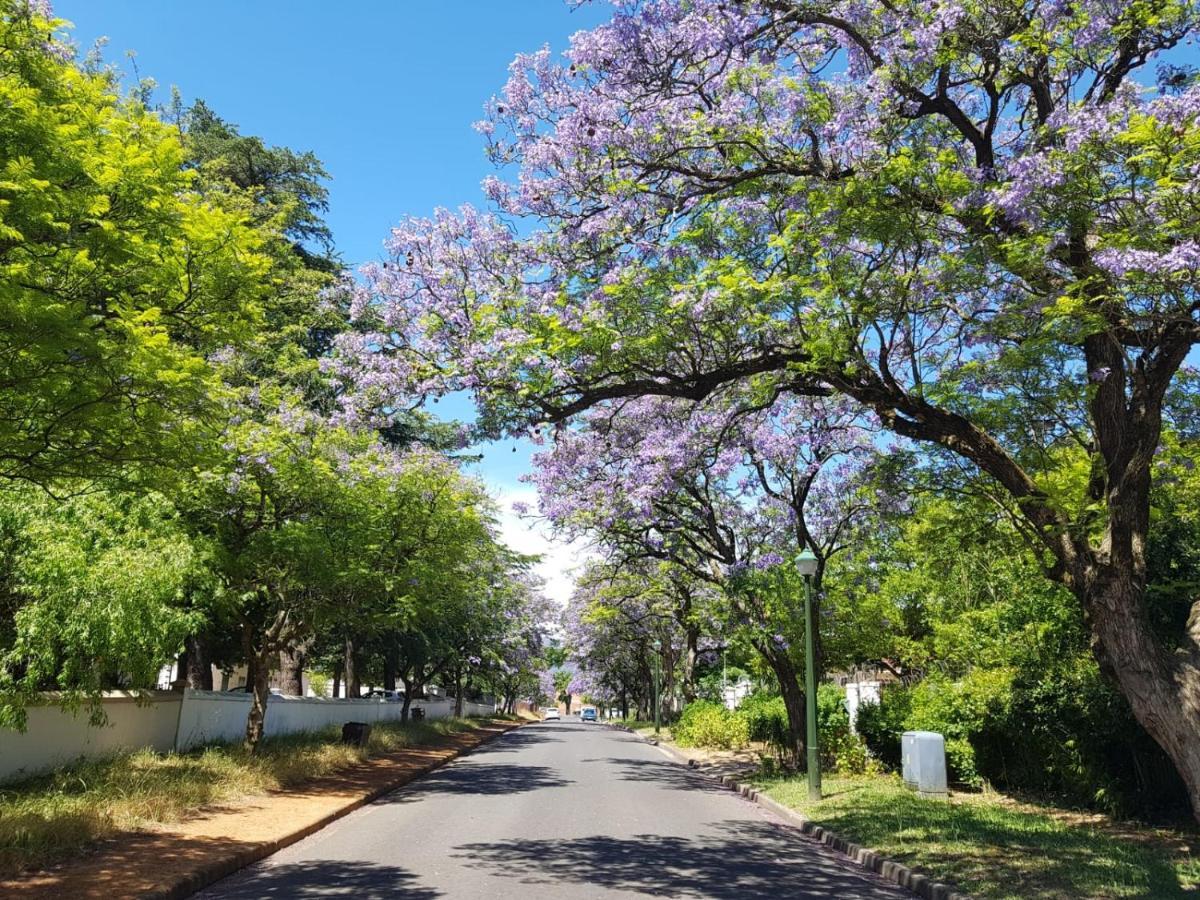 Peony Luxury Room With Wifi And Own Entrance Stellenbosch Exteriör bild